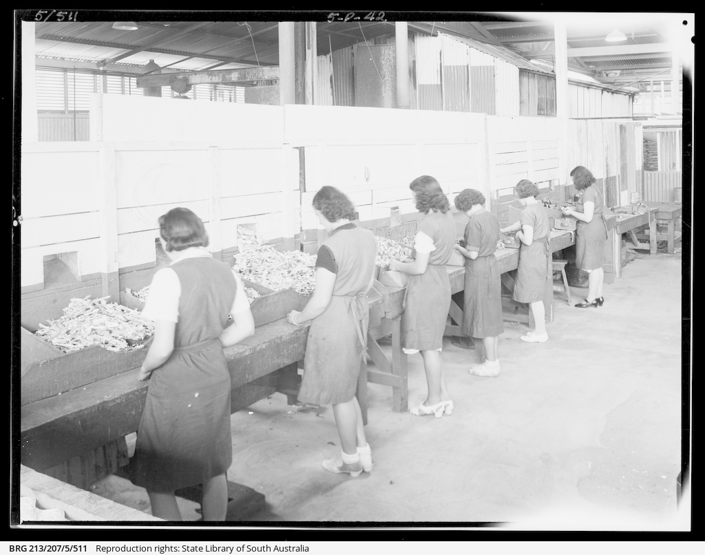 Pope Products Plant views • Photograph • State Library of South
